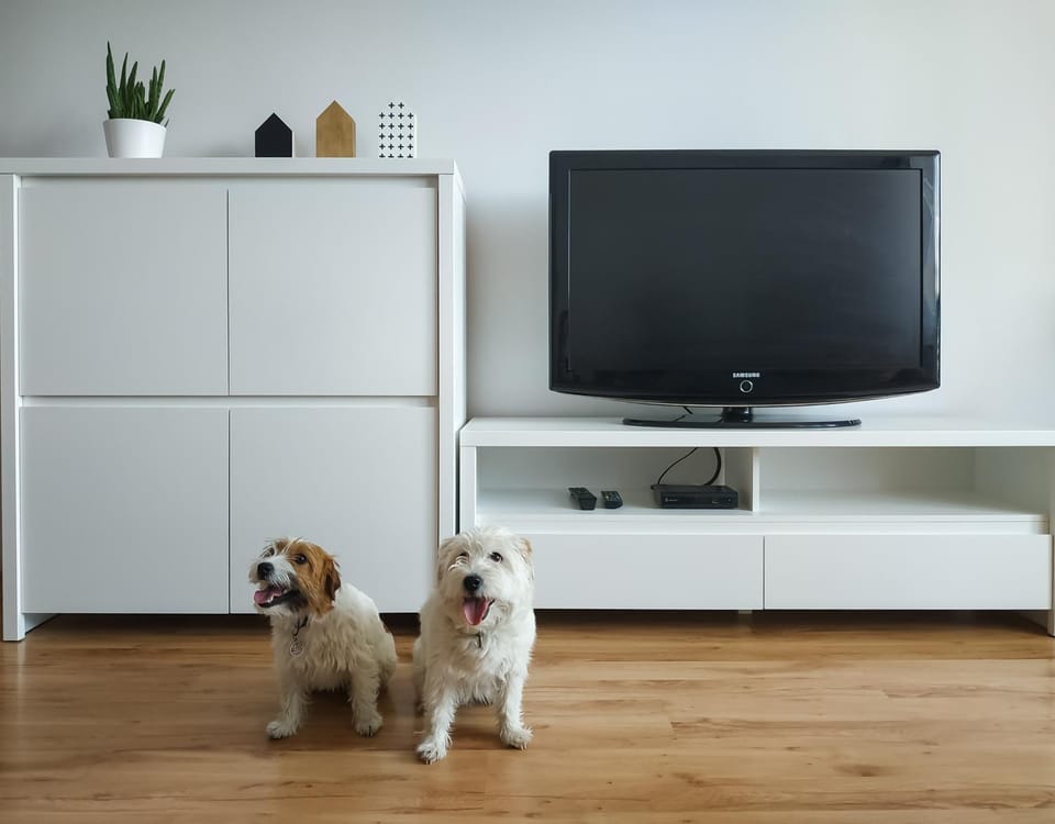 Communal lounge/ TV room, Pets
