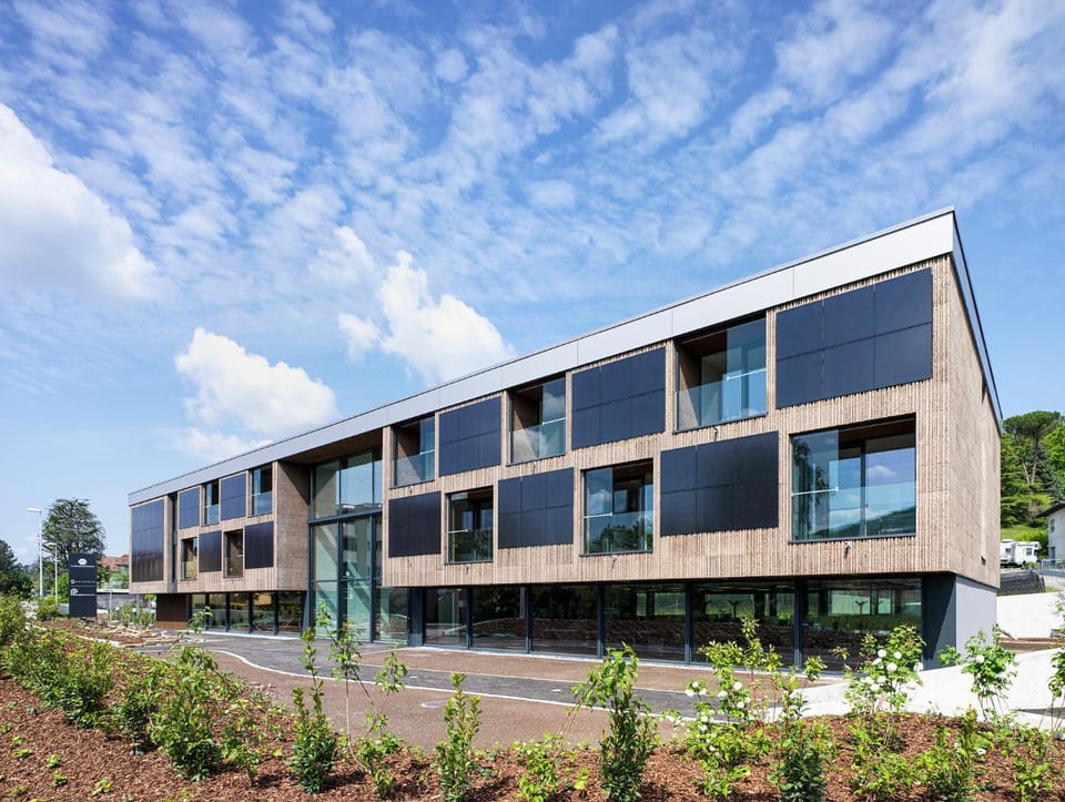 Property building, Day, Garden