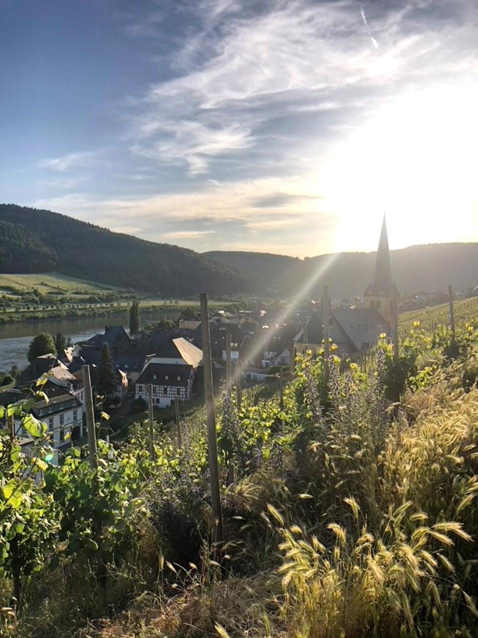 Nearby landmark, Natural landscape