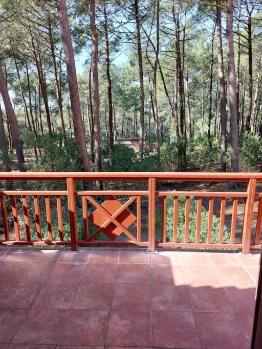 AGREABLE T2 LISIERE DU GOLF LACANAU OCEAN Apartment in Lacanau