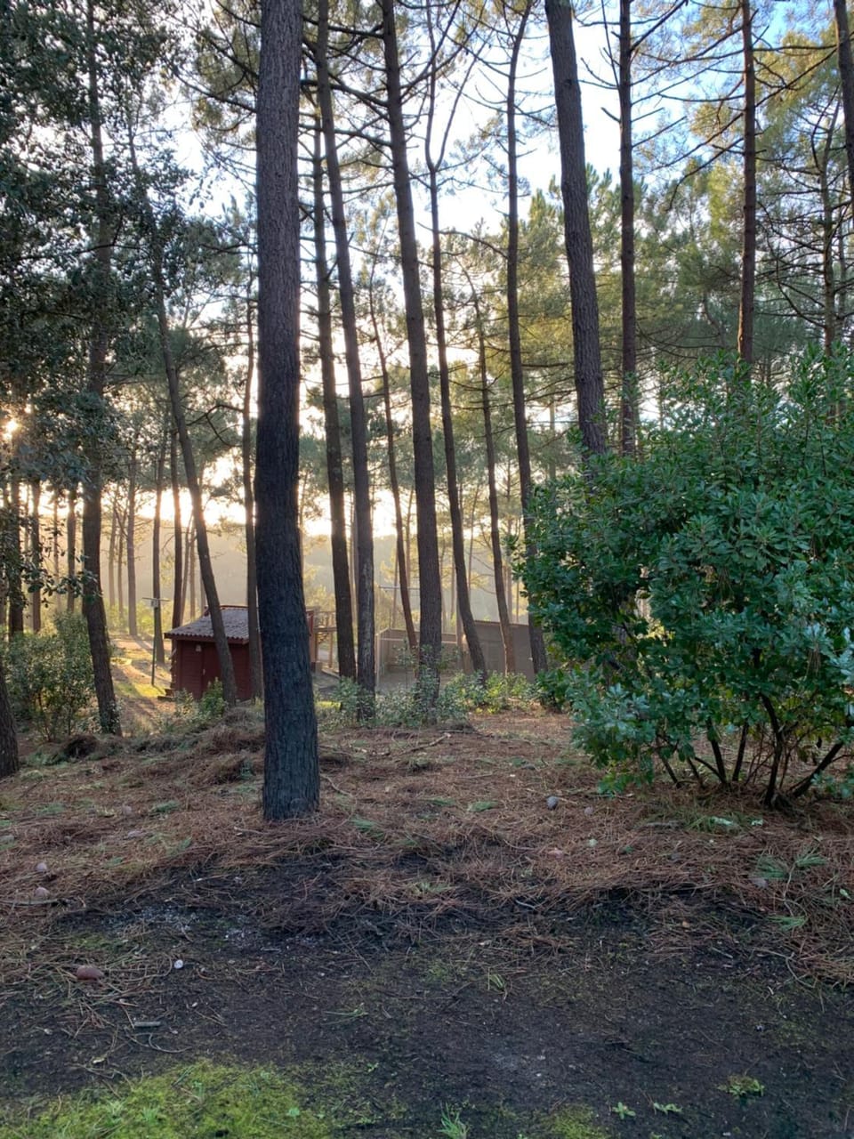 AGREABLE T2 LISIERE DU GOLF LACANAU OCEAN Apartment in Lacanau