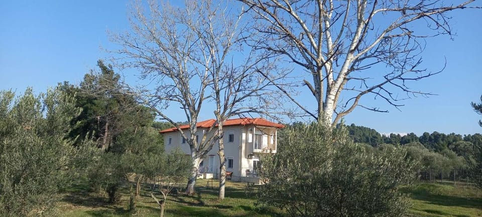Villa Elina by Golden Residence House in Halkidiki