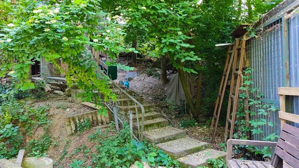 Garden view