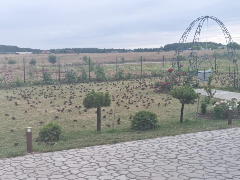 Natural landscape
