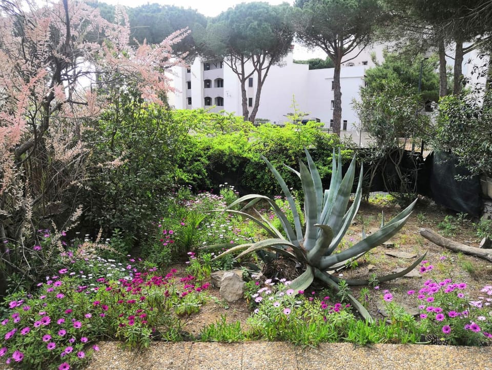 Garden view