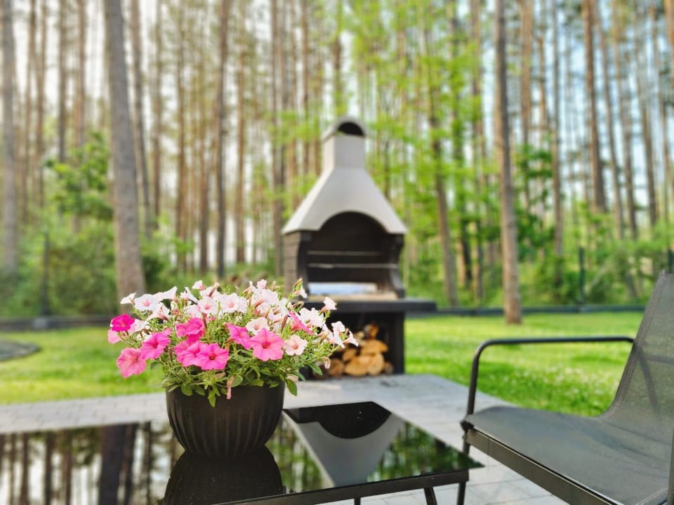 Day, Natural landscape, Garden, Dining area, Garden view