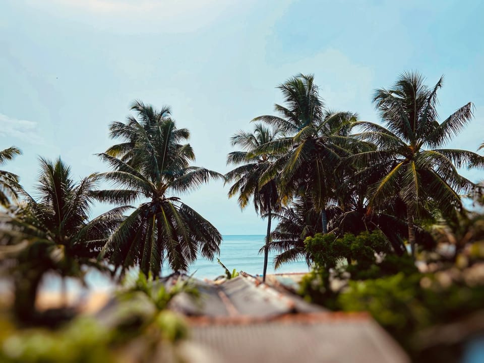 Natural landscape, Beach, Sea view