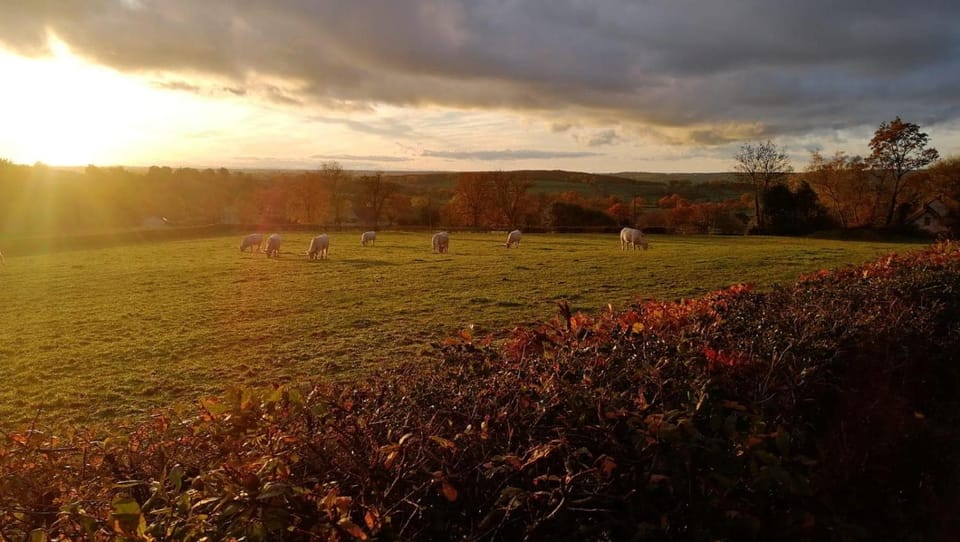Natural landscape, Sunset