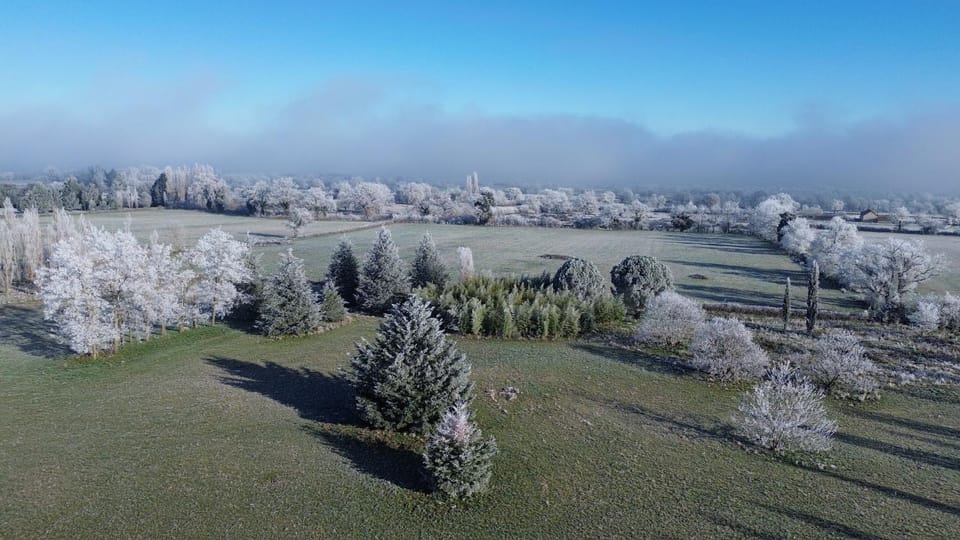Bird's eye view, Winter