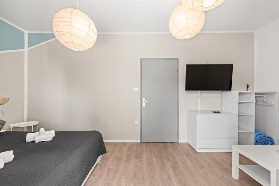 Apartment Kami Apartment in Novigrad