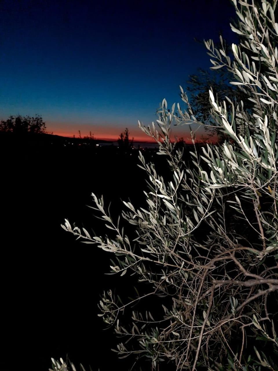 Natural landscape, Sunset