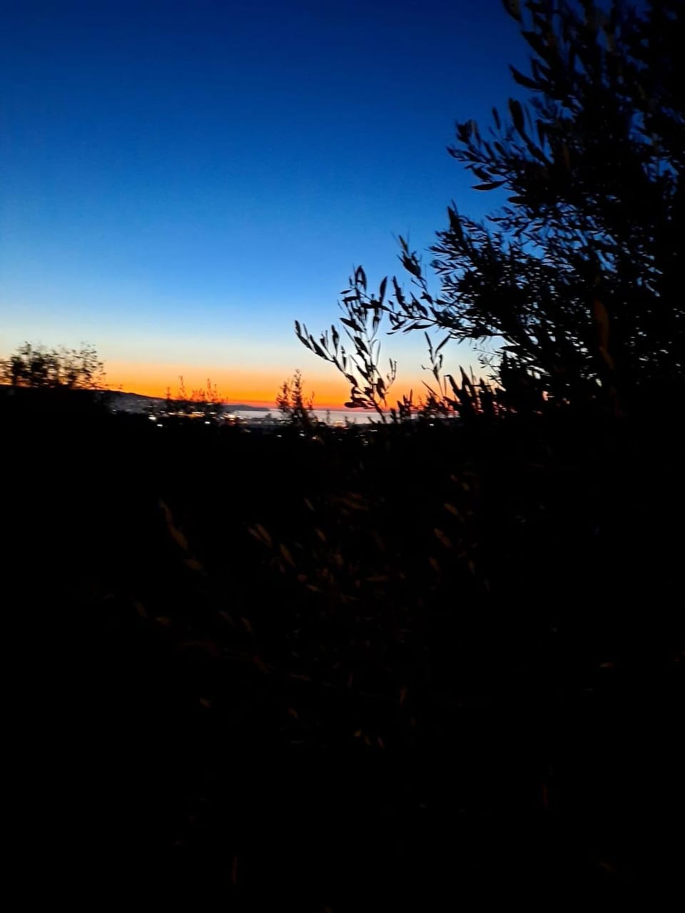 Natural landscape, Sunset
