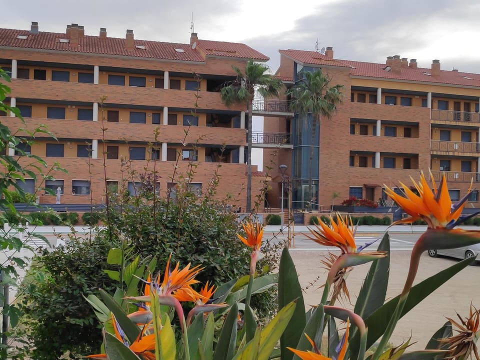 Apartamento en Deltebre Lo Delta Apartment in Montsià