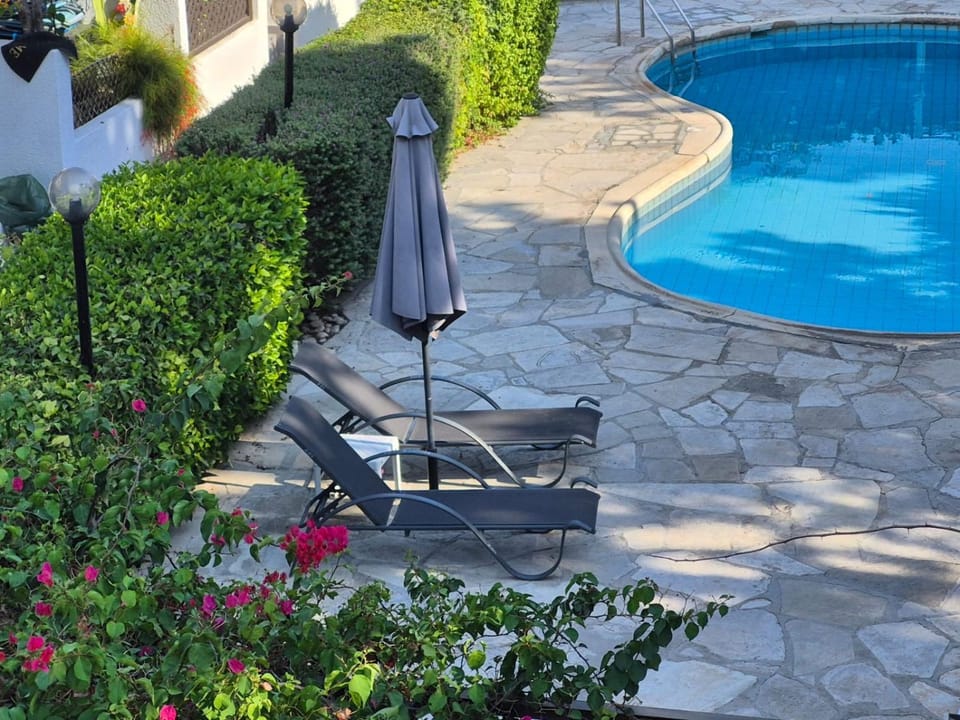 Patio, Day, Garden, Garden view, Pool view, Swimming pool, sunbed