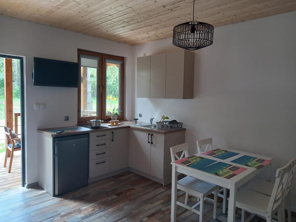 Kitchen or kitchenette, Dining area
