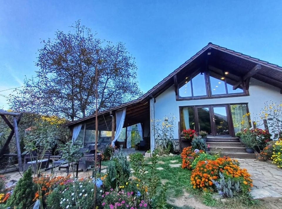 Casa Her House in Romania