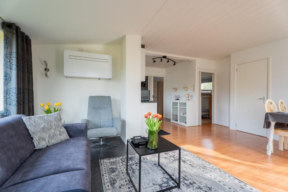 Living room, Seating area, air conditioner