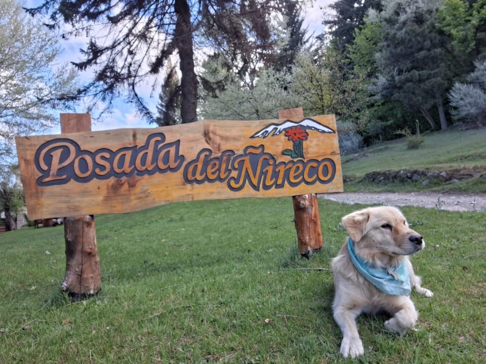 Posada del Ñireco Inn in San Carlos Bariloche