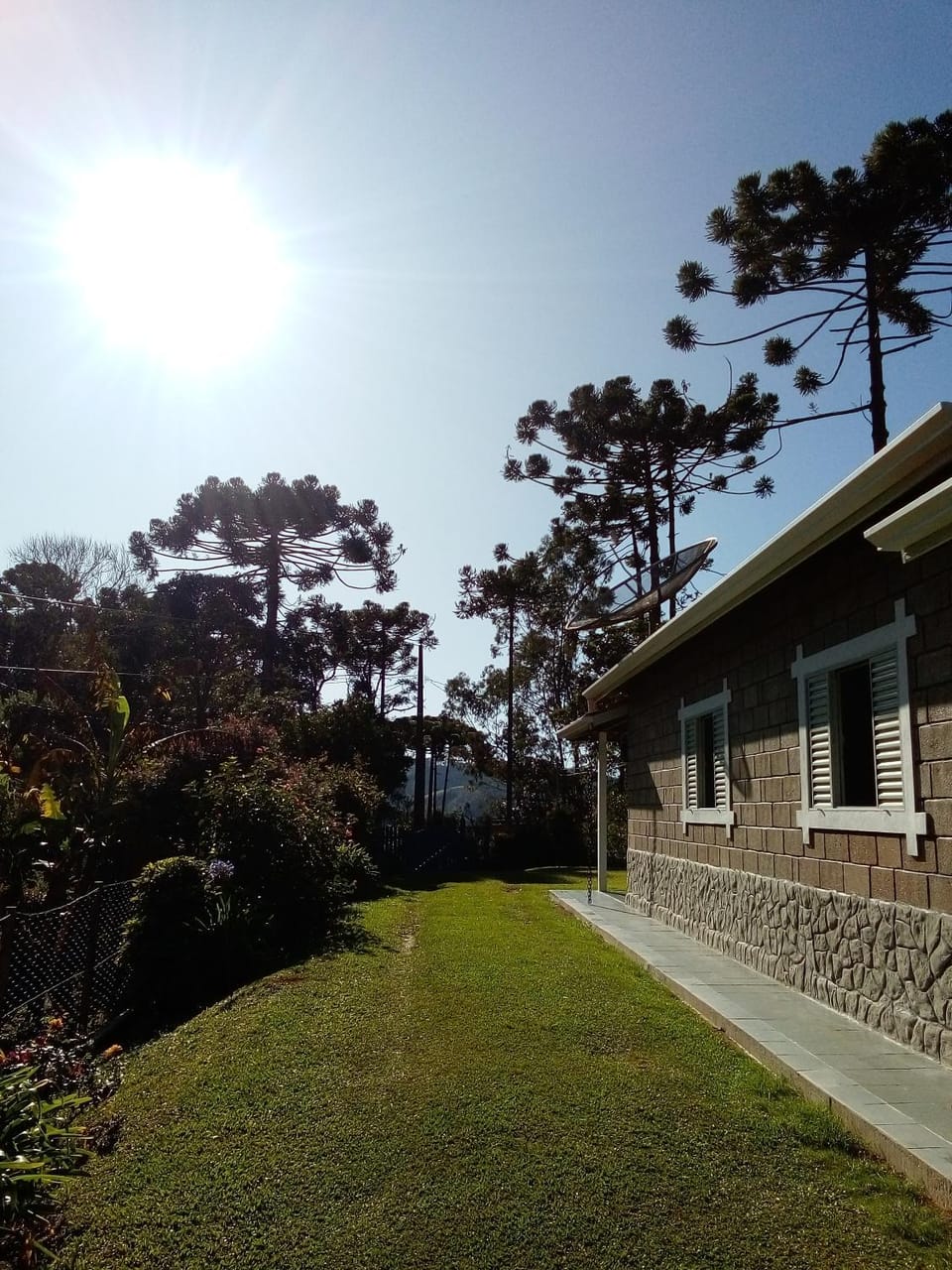 Garden view