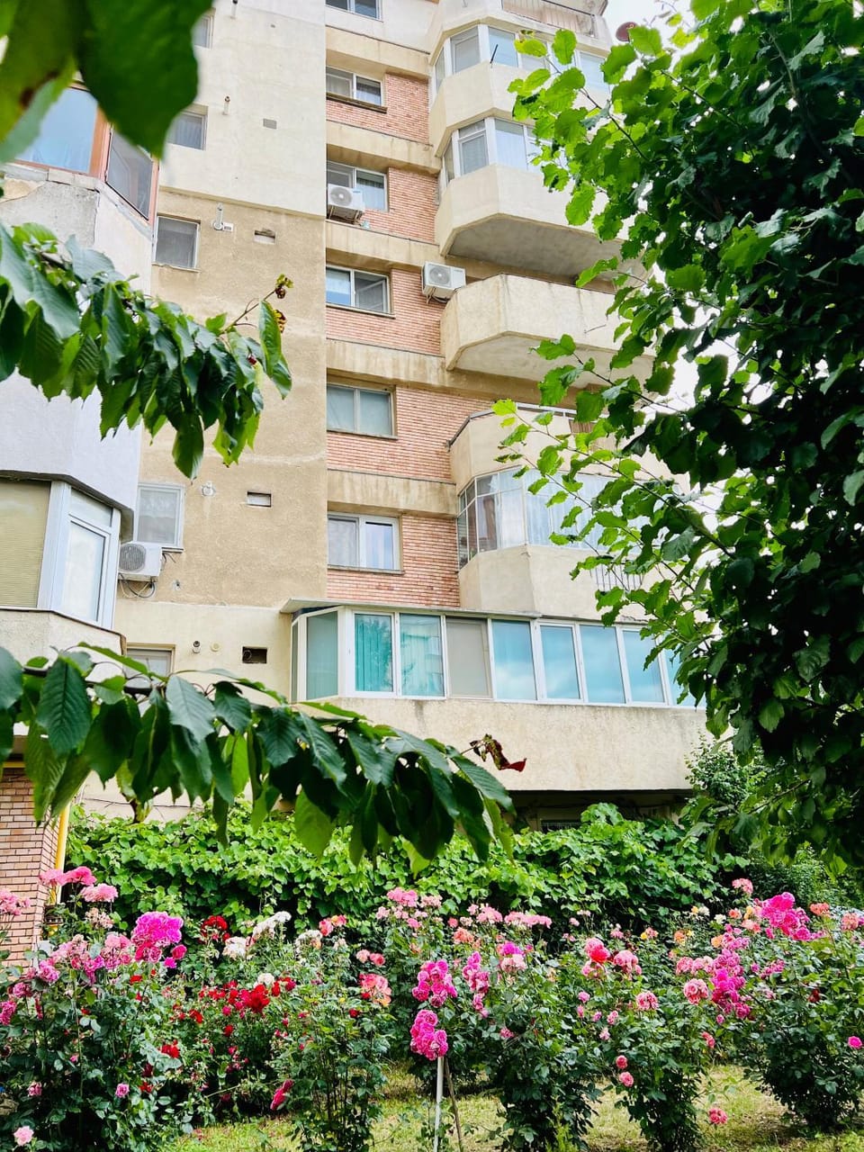 Property building, Day, Garden view