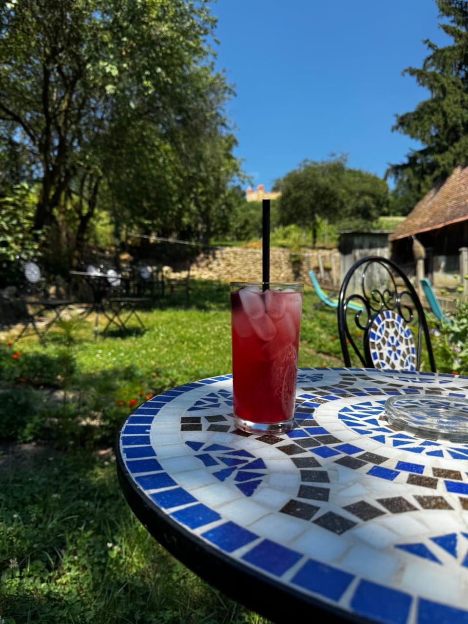 Garden, Lounge or bar, Drinks