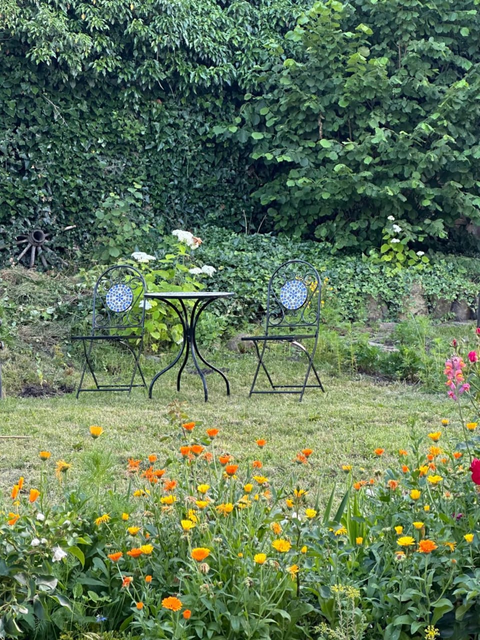 Saschiz 175 GuestHouse Country House in Romania
