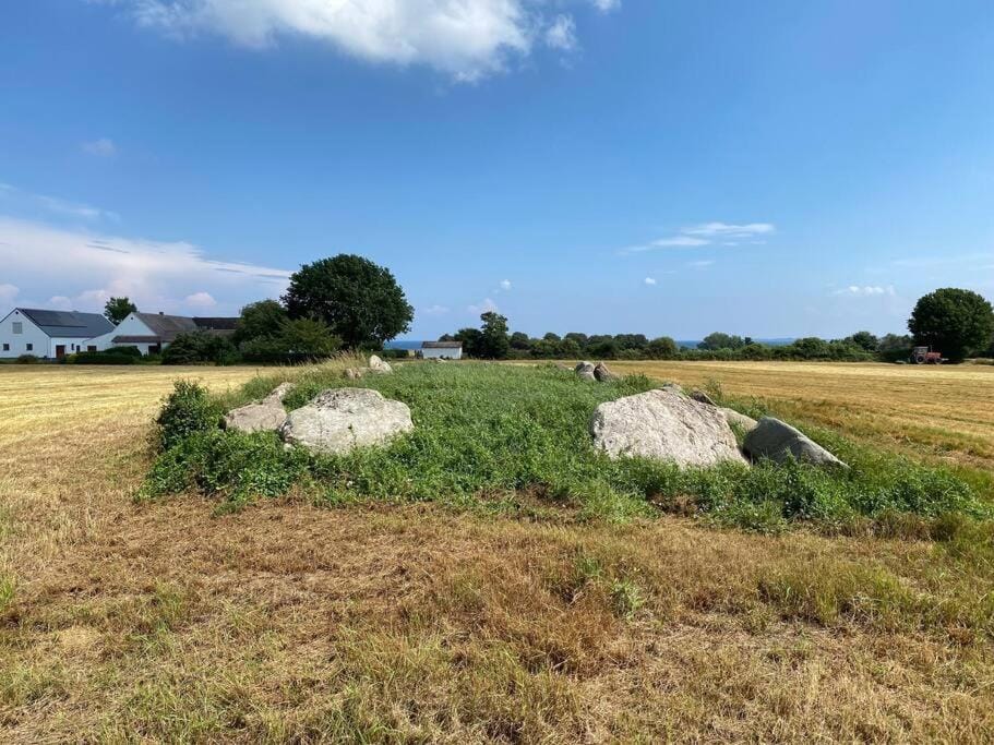 Idyllisk gård med ro, plads og havudsigt House in Region of Southern Denmark