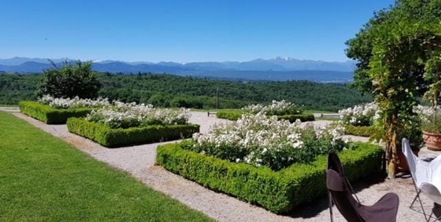 Garden, Garden, Garden view