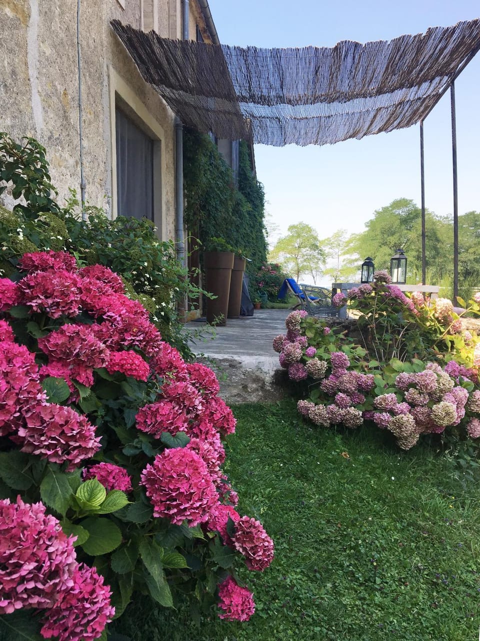 Garden view
