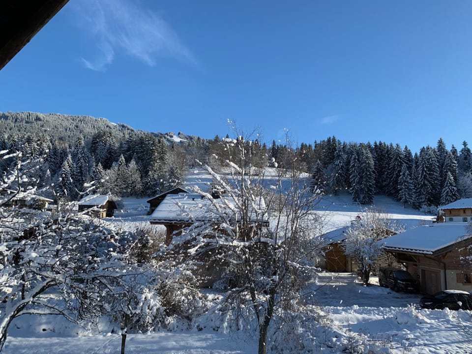 Day, Winter, Mountain view