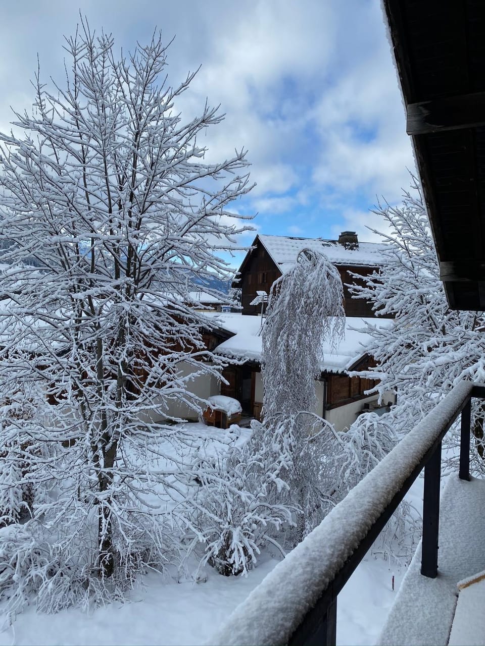 Megève - Chalet Yack - Premium jusqu'à 15 pers Chalet in Combloux