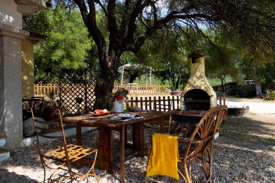 Patio, Garden, Garden view