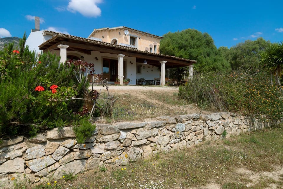 Property building, Garden, Garden view