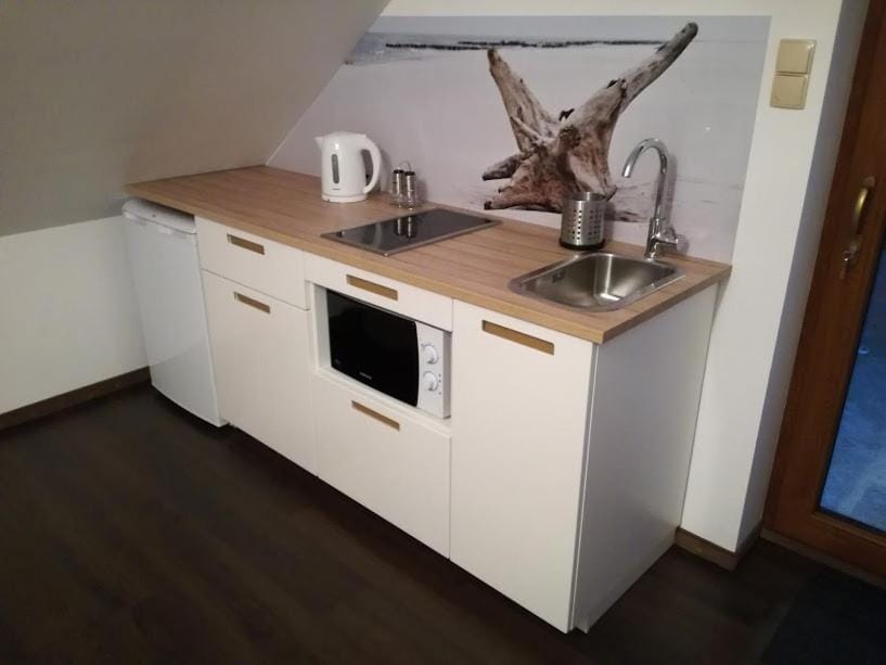 Kitchen or kitchenette, minibar, stove