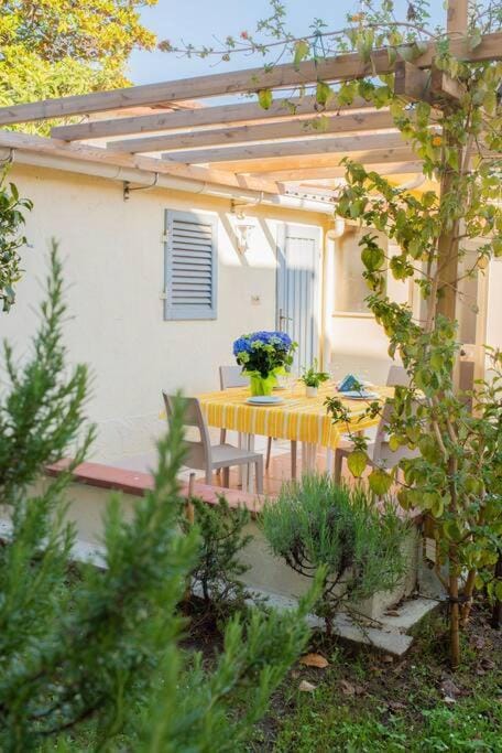 Albicocca casa al mare con ampio giardino privato House in Viareggio