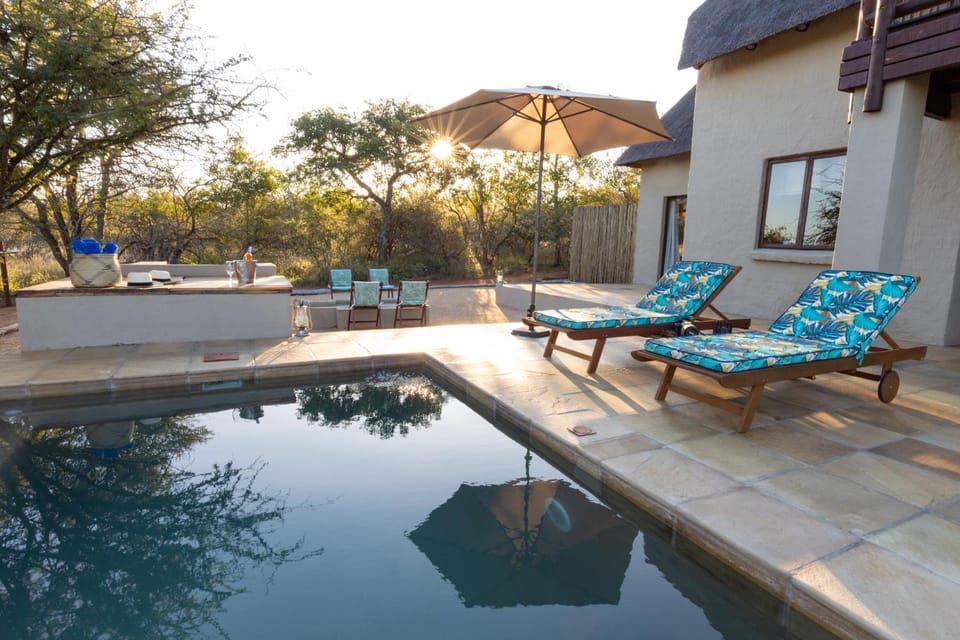 Swimming pool, Swimming pool, sunbed