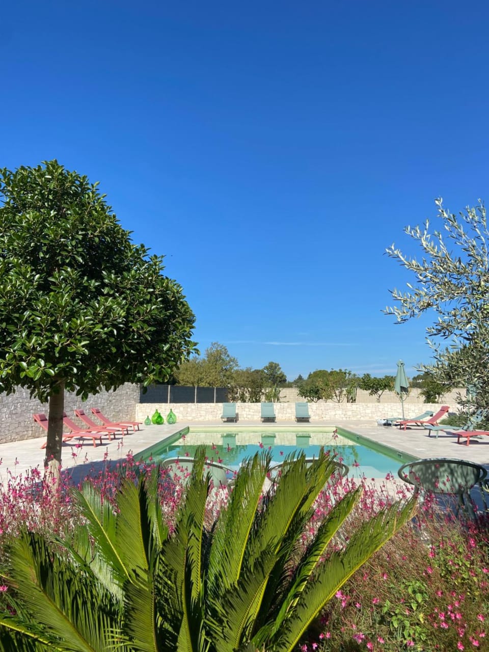 Natural landscape, Garden, Garden view, Pool view, Swimming pool, Swimming pool