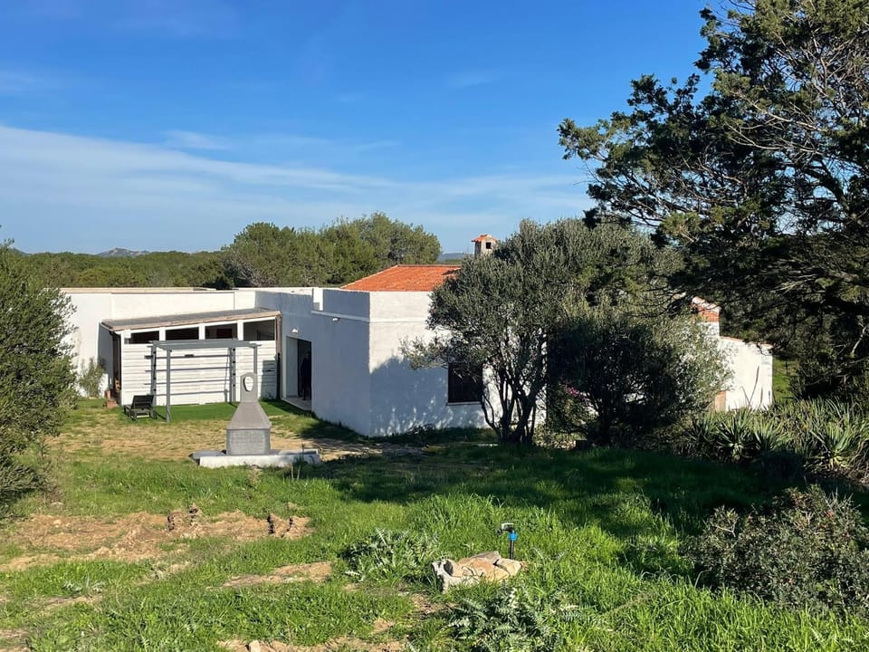 Property building, Natural landscape, Garden, Garden view