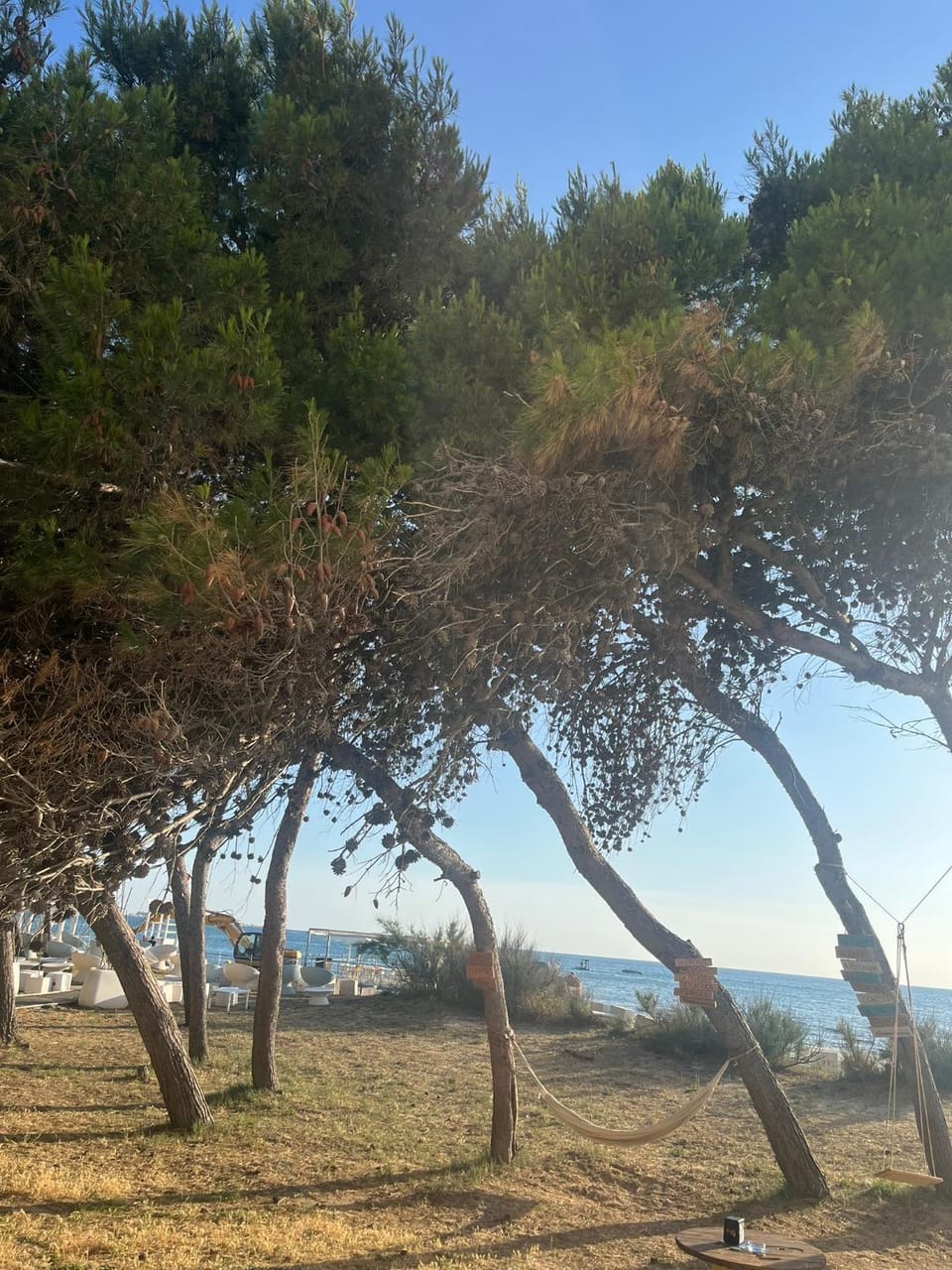 Natural landscape