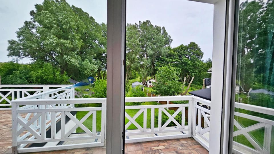 View (from property/room), Balcony/Terrace