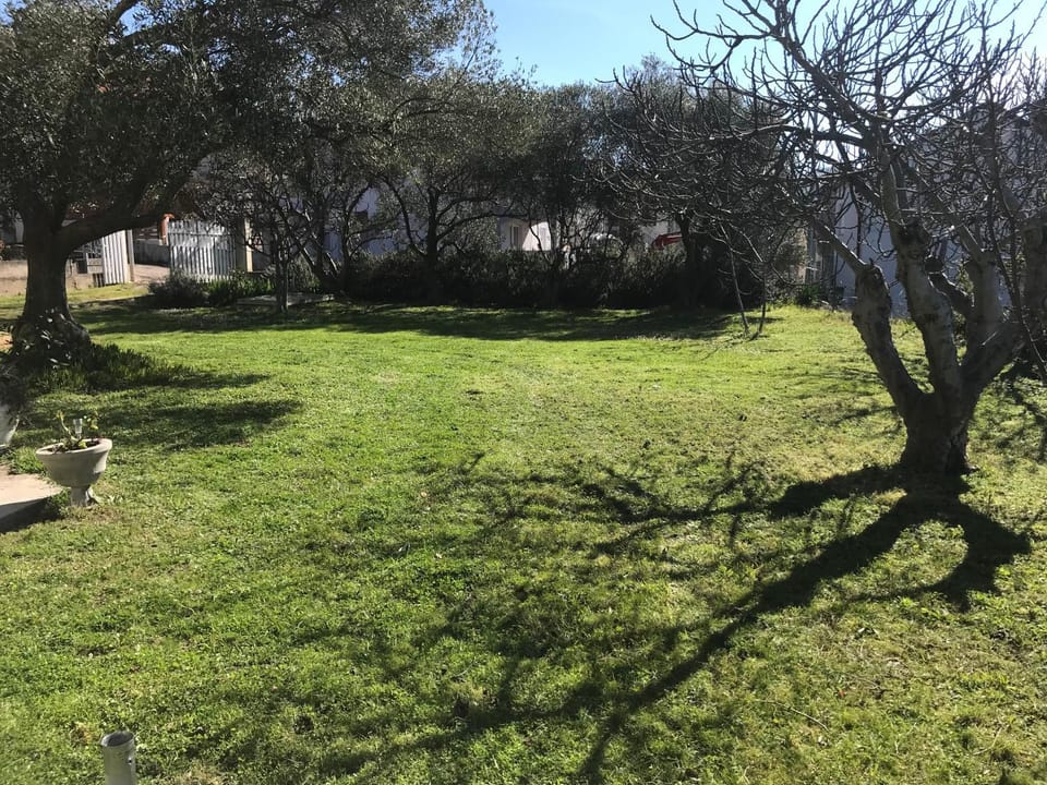 Garden, Parking