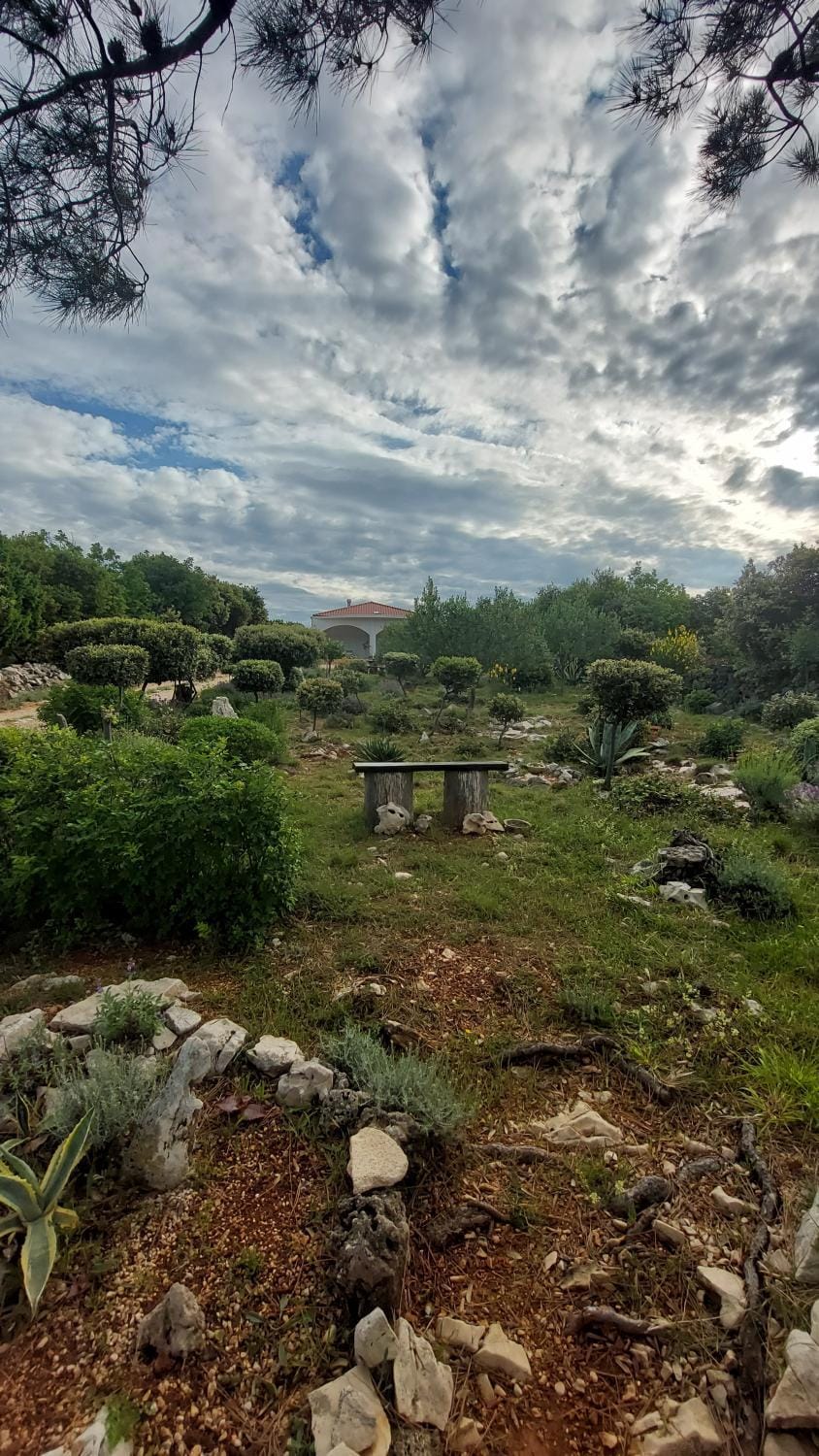 Natural landscape