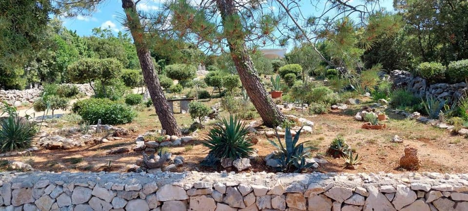 Spring, Day, Natural landscape, Garden, Garden view