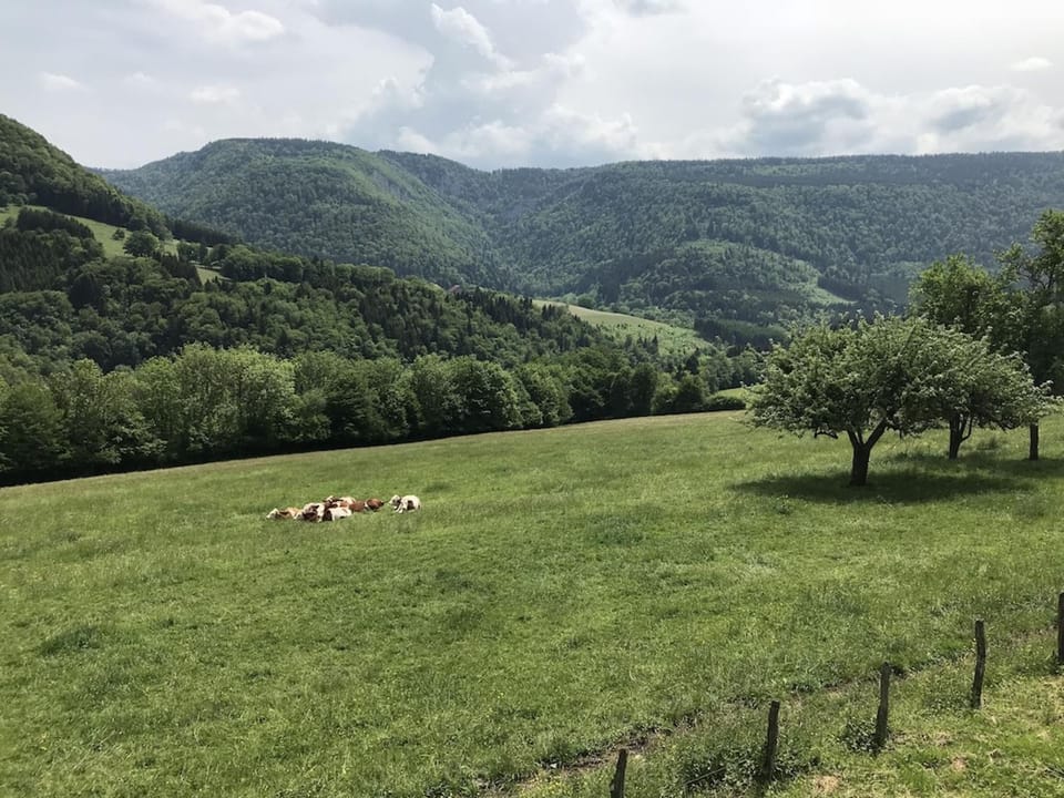 Mountain view