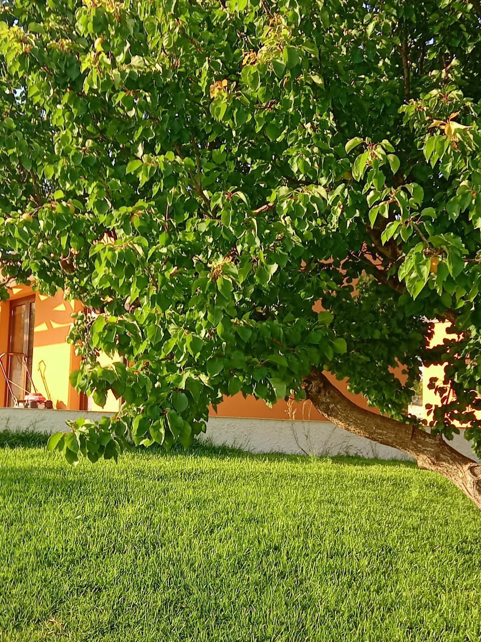 Il Poggetto Marzamemi - Le Villette Chalet in Sicily