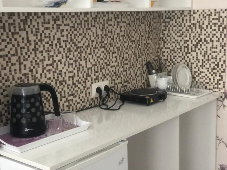 Appartment in Old TBS, near Holy Trinity cathedral Apartment in Tbilisi, Georgia