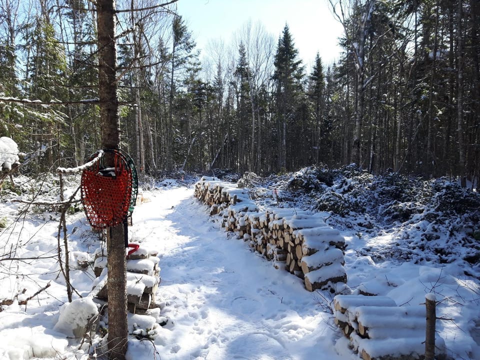 Upper Humber Settlement a FarmStay B&B Bed and Breakfast in Newfoundland and Labrador