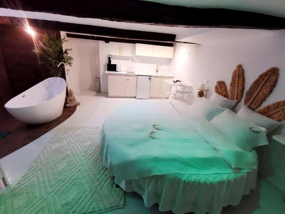 Studio équipé avec Lit rond / baignoire ilot / Table massage Aux Arcs Apartment in French Riviera