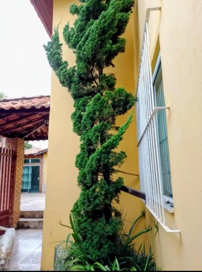 POUSADA GRACAS Bed and Breakfast in State of São Paulo