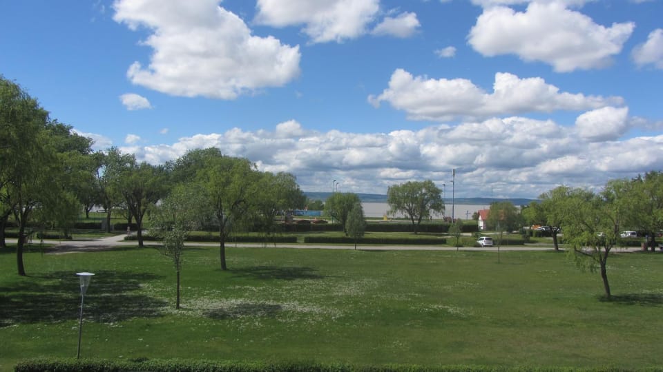 Lake view
